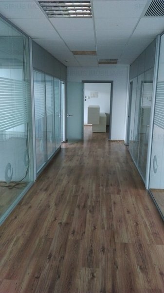 Victoriei, Buzesti, Gara de Nord,